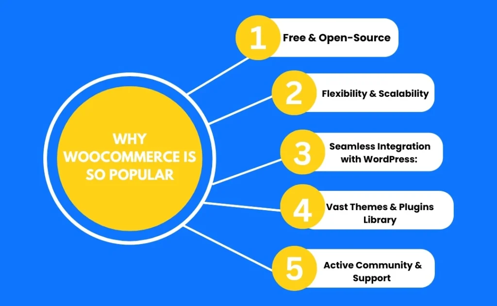 Why WooCommerce Is So Popular